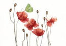 Aquarell Postkarte Klatschmohn VE10