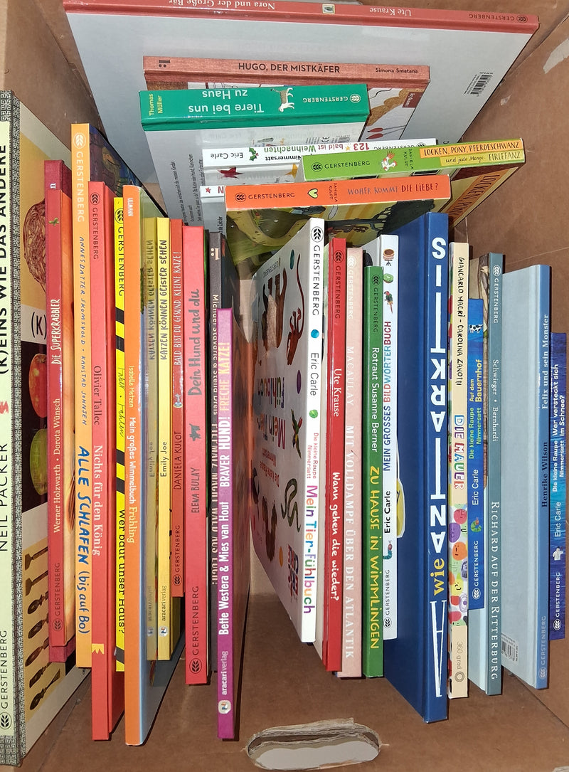 Kinderbücher Set 35 Stück