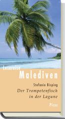 Malediven/D.Trompetenfisch i.d. Lagune