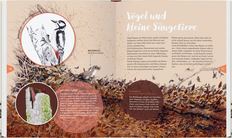 Das zweite Leben der Bäume