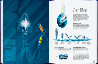 Wale Giganten der Meere