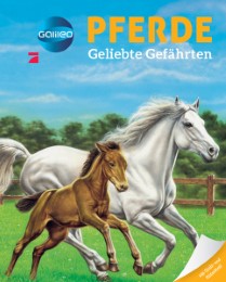 Galileo Wissen: Pferde