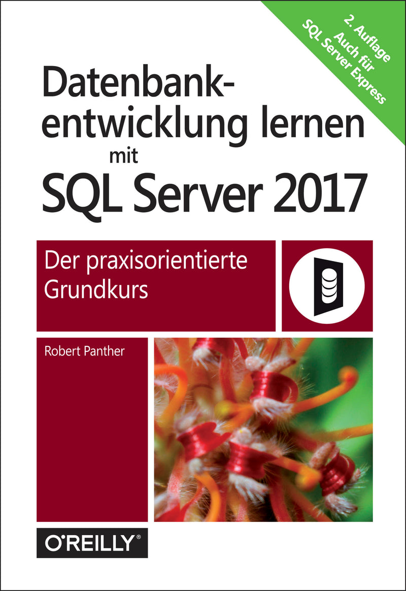 Datenbankentwicklung lernen mit SQL Server 2017