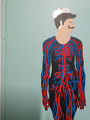 Anatomie- Das faszinierende Innenleben des Menschen