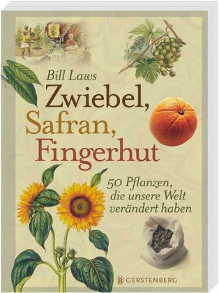 Zwiebel, Safran, Fingerhut