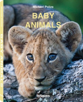 Baby Animals Die schönsten Fotos afrikanischer Tierkinder