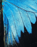 Oswald Wiener- The Bio-Adapter