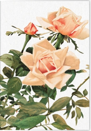 VE Geschichte der Rose Klappkarte Motiv Rosengarten 5 Ex.