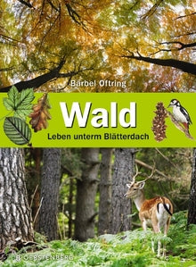 Wald- Leben unterm Blätterdach