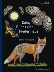 Eule, Fuchs und Fledermaus, Tiere der Nacht